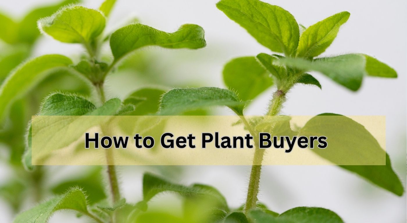 How to Get Plant Buyers