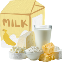 Dairy / Milk