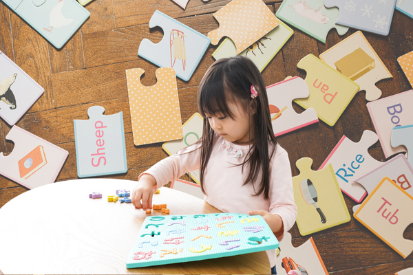Educational Puzzle Set